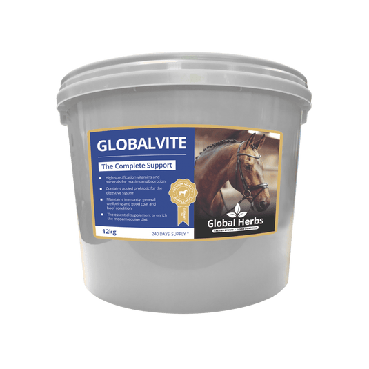 GlobalVite - Global Herbs - Ashurst Equestrian & Country