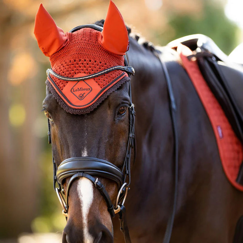 Load image into Gallery viewer, Le Mieux Classic Fly Hood
