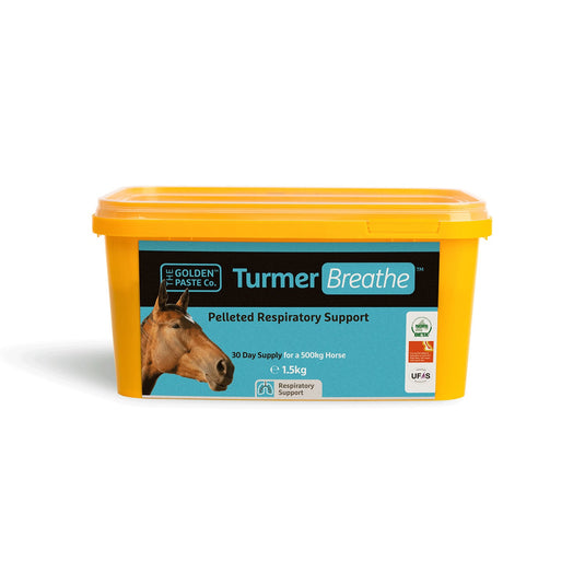 Golden Paste Company Turmerbreathe - Ashurst Equestrian & Country