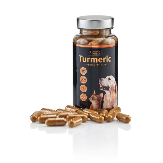 Golden Paste Company Turmeric Capsules For Pets - Ashurst Equestrian & Country