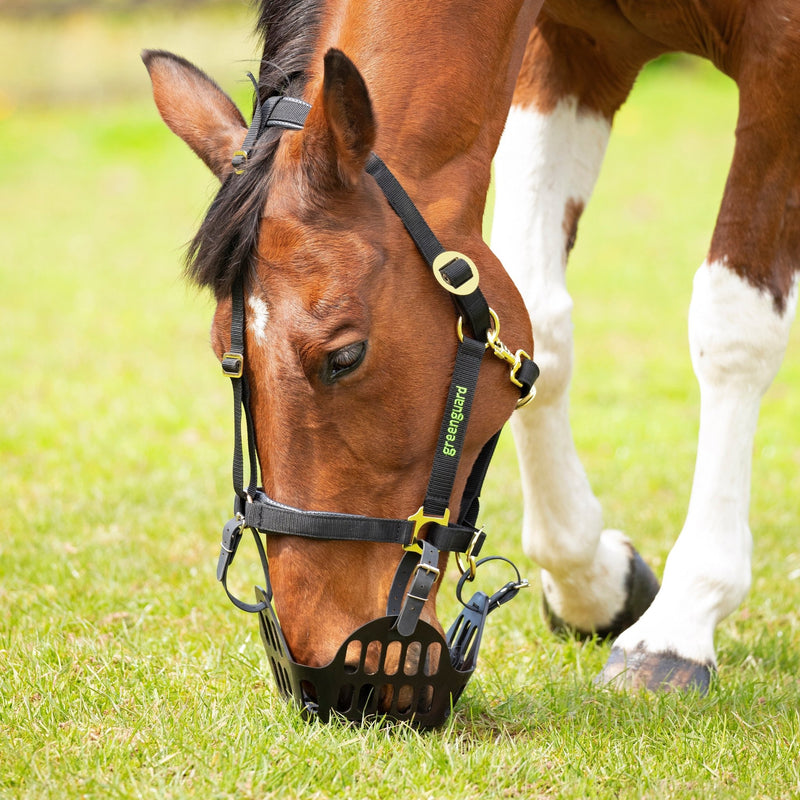 Load image into Gallery viewer, Greenguard Muzzle - Ashurst Equestrian &amp; Country

