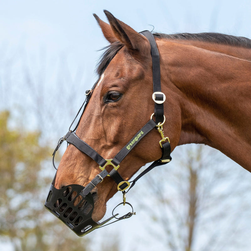 Load image into Gallery viewer, Greenguard Muzzle - Ashurst Equestrian &amp; Country
