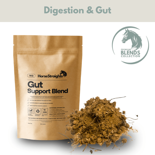 Load image into Gallery viewer, Gut Support Blend - Ashurst Equestrian &amp; Country
