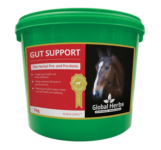 Gut support - Global Herbs - Ashurst Equestrian & Country