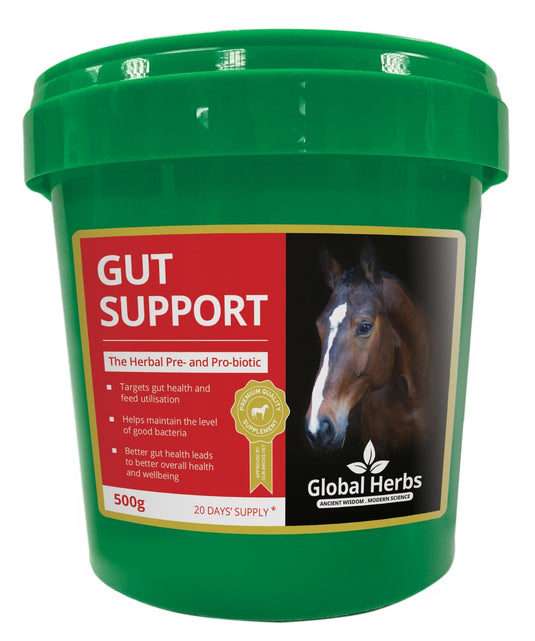 Gut support - Global Herbs - Ashurst Equestrian & Country