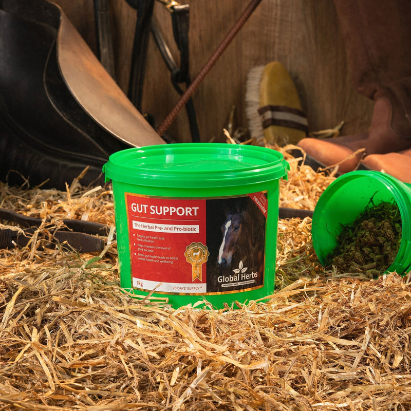 Load image into Gallery viewer, Gut support - Global Herbs - Ashurst Equestrian &amp; Country

