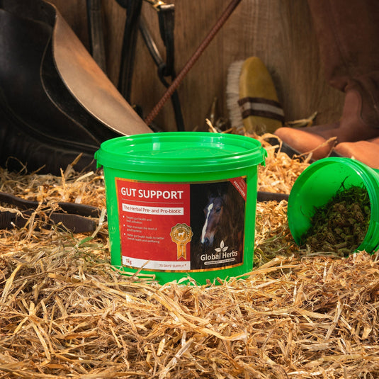Gut support - Global Herbs - Ashurst Equestrian & Country