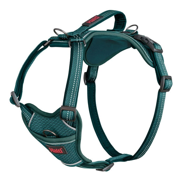 Halti Anatomy Harness Teal - Ashurst Equestrian & Country