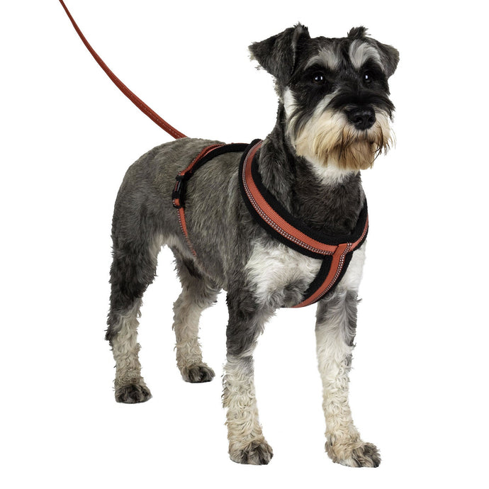 Halti Comfy Harness - Ashurst Equestrian & Country