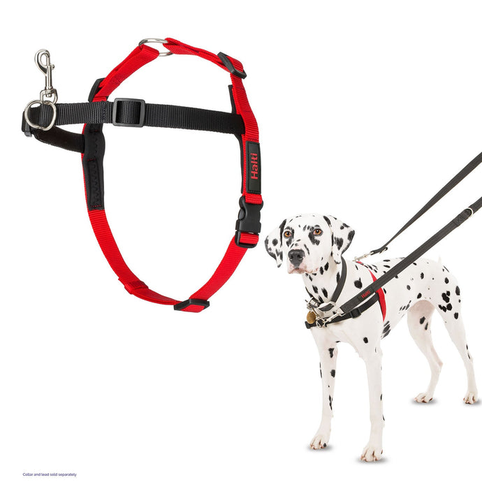 Halti Front Control Harness - Ashurst Equestrian & Country