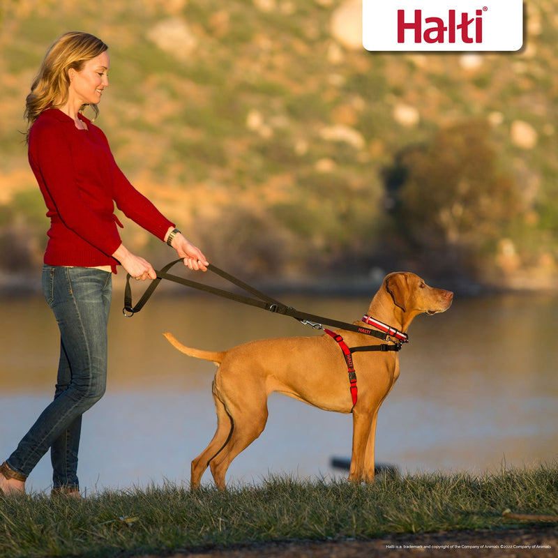 Load image into Gallery viewer, Halti Front Control Harness Black/Red - Ashurst Equestrian &amp; Country
