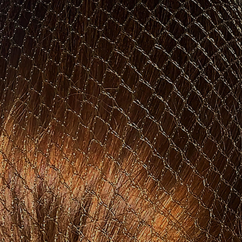 Load image into Gallery viewer, Harpley Equestrian Hairnets Standard - Ashurst Equestrian &amp; Country
