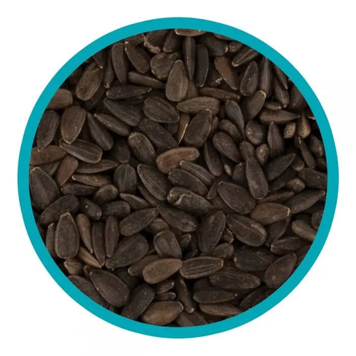 Load image into Gallery viewer, Harrisons Black Sunflower 1.6kg - Ashurst Equestrian &amp; Country
