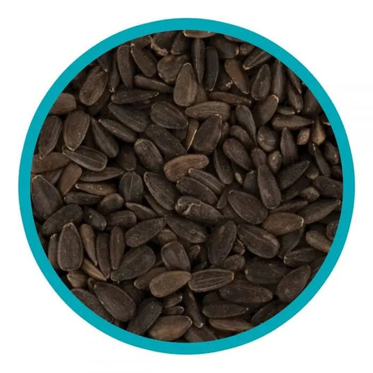 Harrisons Black Sunflower 1.6kg - Ashurst Equestrian & Country