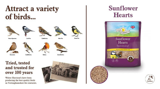 Harrisons Sunflower Hearts 4kg Pouch - Ashurst Equestrian & Country