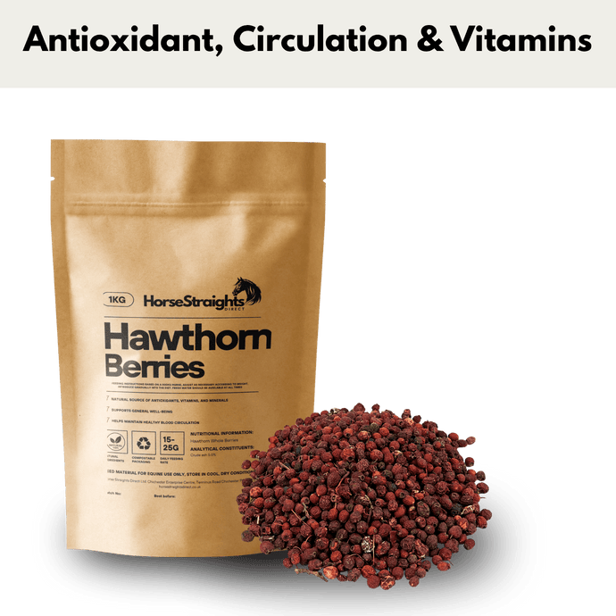 Hawthorn Whole Berries - Ashurst Equestrian & Country
