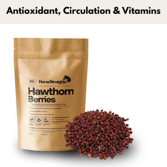 Hawthorn Whole Berries - Ashurst Equestrian & Country