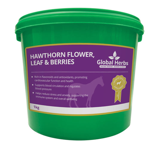 Hawthorne Flower/Leaf & Berries - Global Herbs - Ashurst Equestrian & Country
