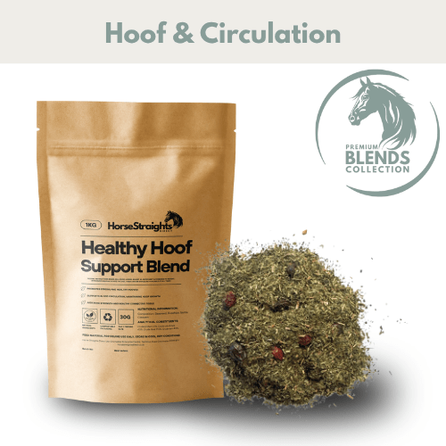 Healthy Hoof Support Blend - Ashurst Equestrian & Country