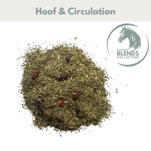 Healthy Hoof Support Blend - Ashurst Equestrian & Country