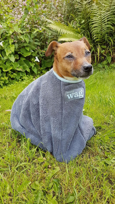 Henry Wag Drying Bag - Ashurst Equestrian & Country