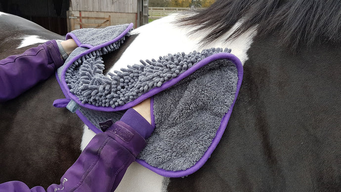 Henry Wag Equine Noodle Glove Towel - Ashurst Equestrian & Country