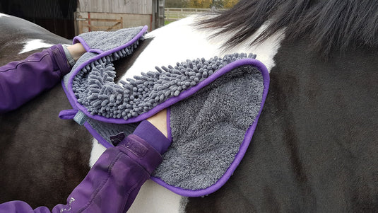 Henry Wag Equine Noodle Glove Towel - Ashurst Equestrian & Country