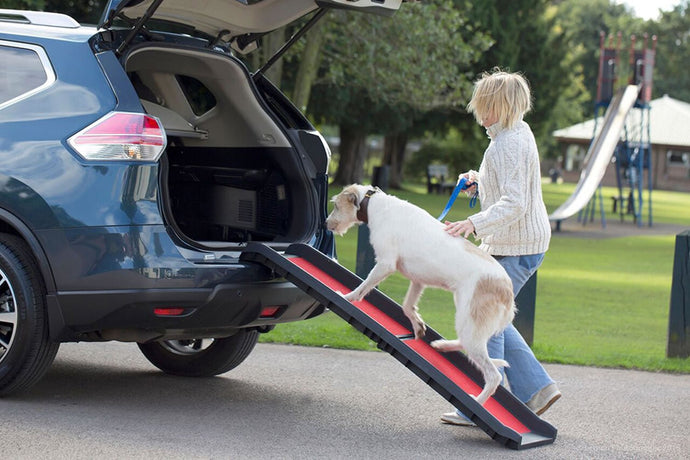 Henry Wag Lightweight Folding Pet Ramp - Ashurst Equestrian & Country