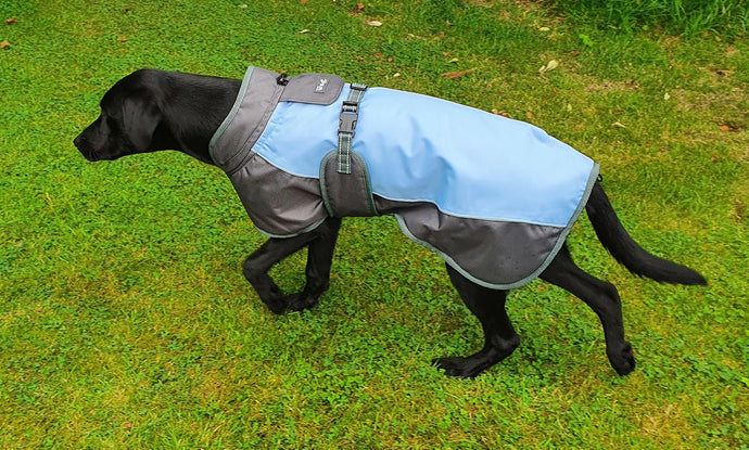 Henry Wag Waterproof Dog Coat - Ashurst Equestrian & Country