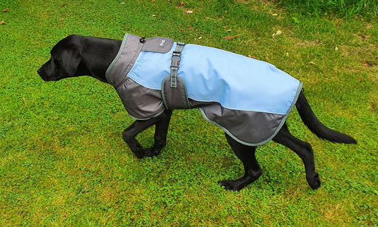 Henry Wag Waterproof Dog Coat - Ashurst Equestrian & Country