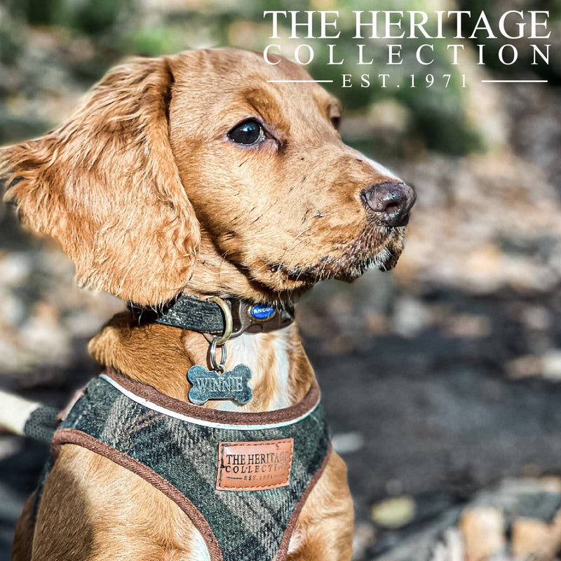 Load image into Gallery viewer, Heritage Collection Country Check Collar - Ashurst Equestrian &amp; Country
