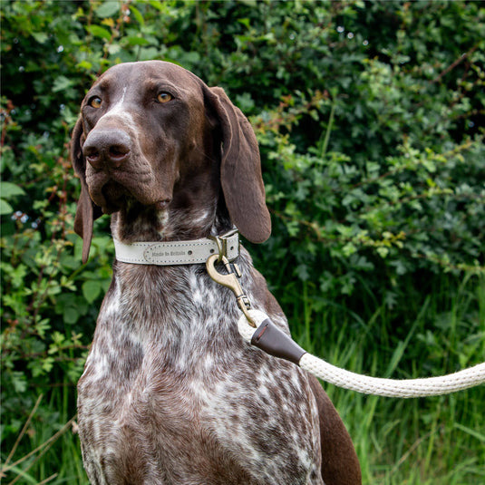 Heritage Collection Natural Cotton Rope Lead 150cm x 15mm - Ashurst Equestrian & Country