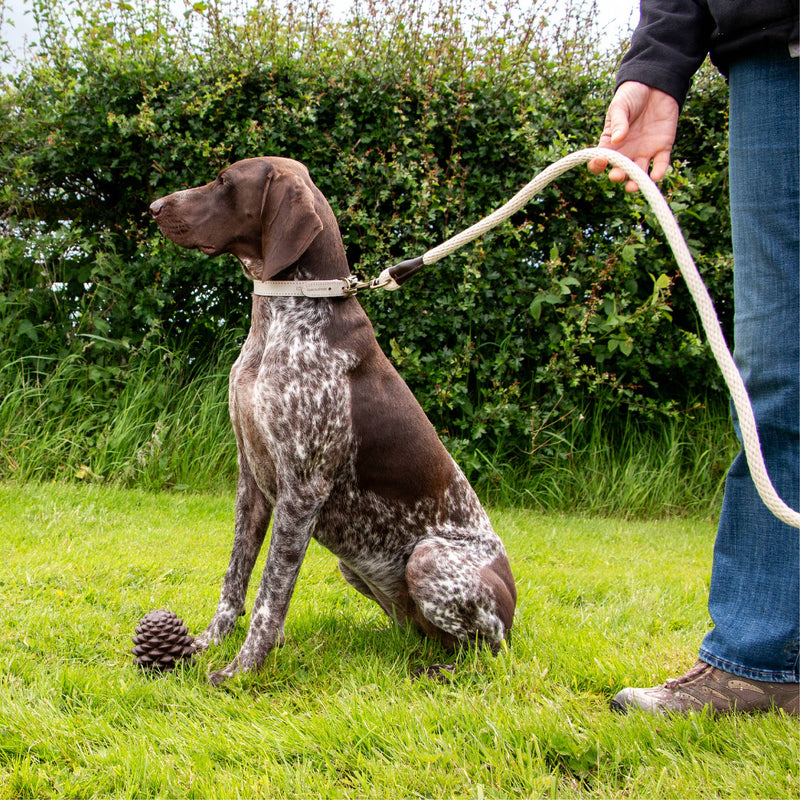 Load image into Gallery viewer, Heritage Collection Natural Cotton Rope Lead 150cm x 15mm - Ashurst Equestrian &amp; Country
