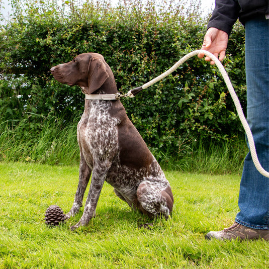 Heritage Collection Natural Cotton Rope Lead 150cm x 15mm - Ashurst Equestrian & Country