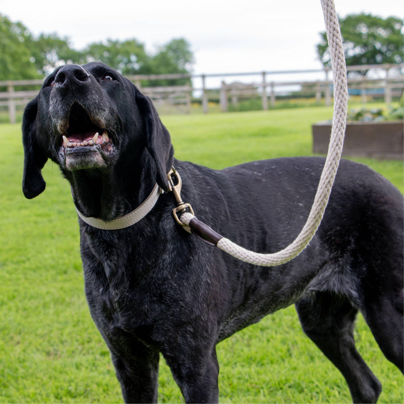 Load image into Gallery viewer, Heritage Collection Natural Cotton Rope Lead 150cm x 15mm - Ashurst Equestrian &amp; Country
