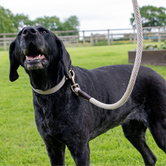 Heritage Collection Natural Cotton Rope Lead 150cm x 15mm - Ashurst Equestrian & Country