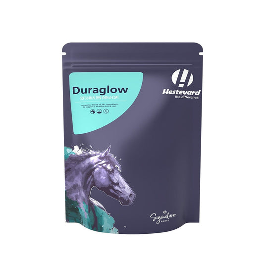 Hestevard Duraglow - Ashurst Equestrian & Country