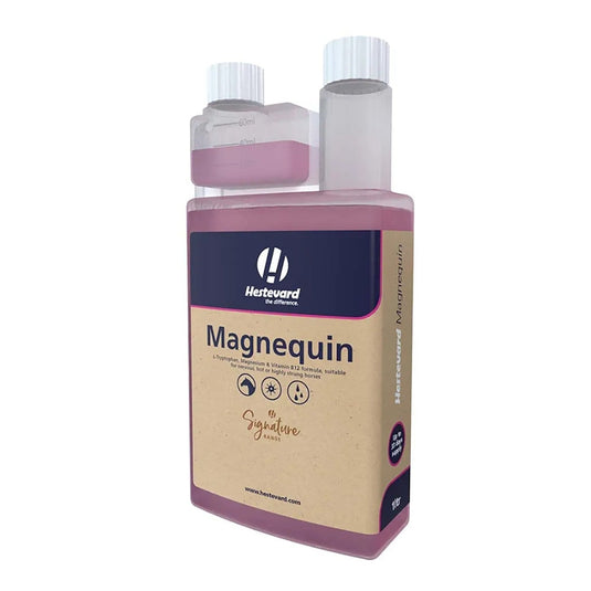 Hestevard Magnequin - Ashurst Equestrian & Country