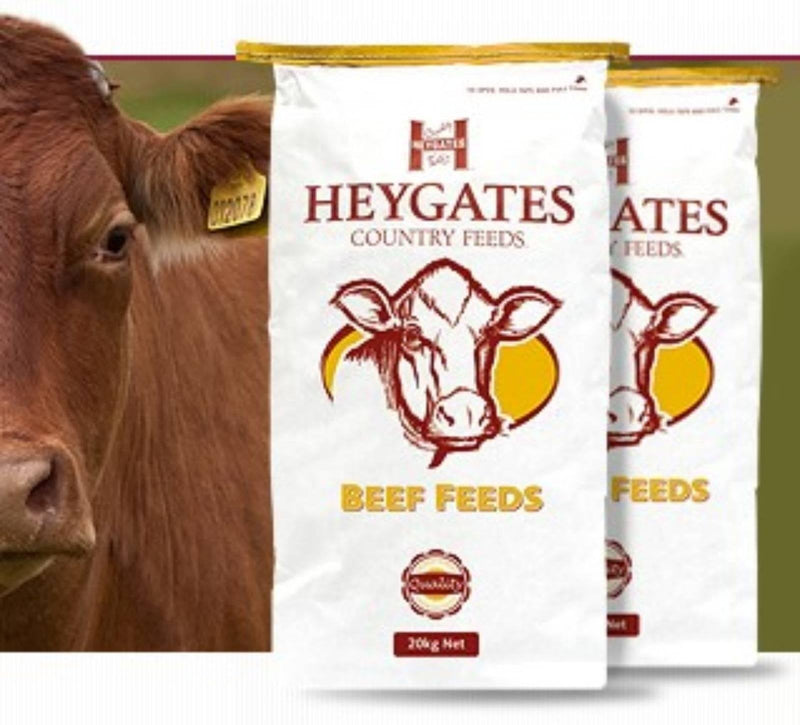 Load image into Gallery viewer, Heygates Natural Beef Nuts 20kg - Ashurst Equestrian &amp; Country
