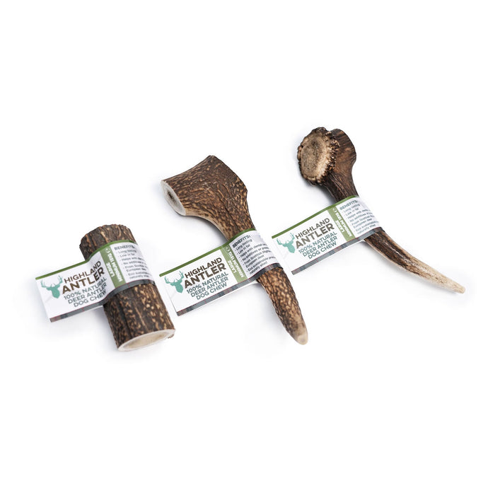 Highland Antler - Ashurst Equestrian & Country
