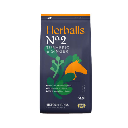 Hilton Herbs Herballs No2 Turmeric & Ginger - Ashurst Equestrian & Country