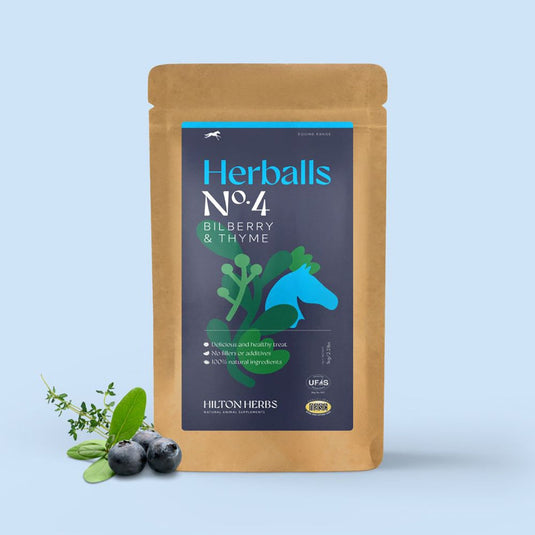 Hilton Herbs Herballs No4 Bilberry & Thyme - Ashurst Equestrian & Country