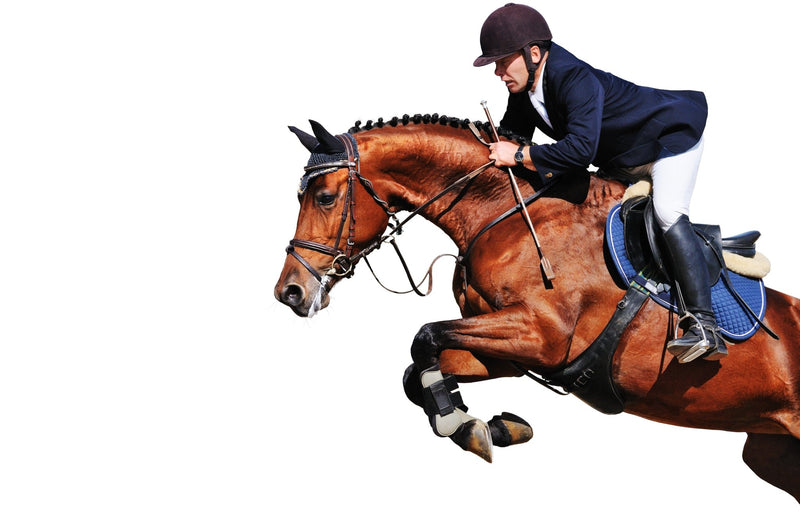 Load image into Gallery viewer, Hip and Joint Horse Premium Joint Supplement - Ashurst Equestrian &amp; Country
