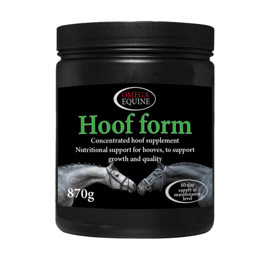 Hoof Form - Ashurst Equestrian & Country