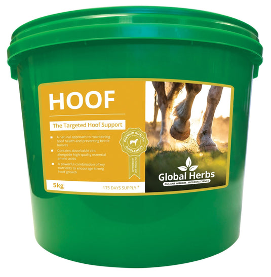 Hoof - Global Herbs - Ashurst Equestrian & Country