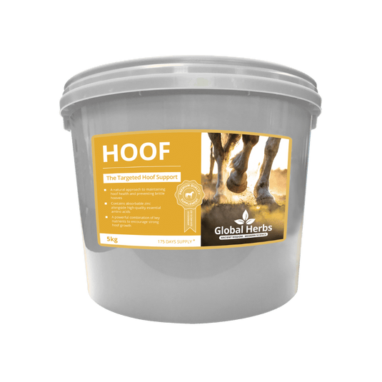 Hoof - Global Herbs - Ashurst Equestrian & Country