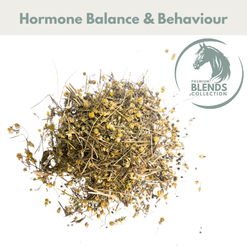 Hormonal Support Blend - Ashurst Equestrian & Country