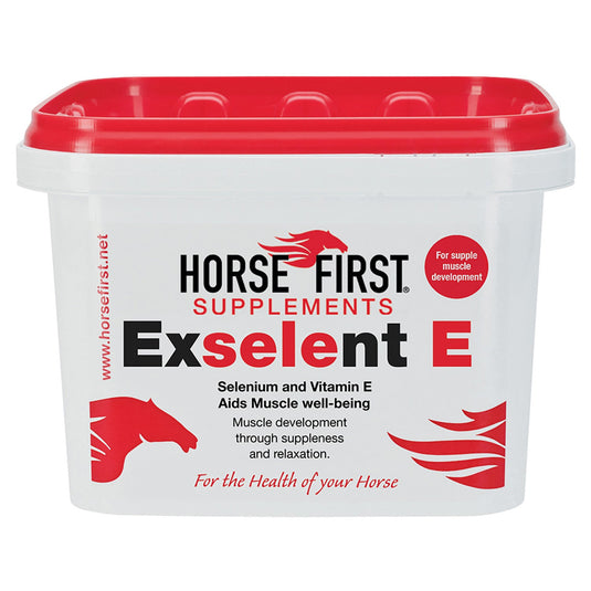 Horse First Exselent E - Ashurst Equestrian & Country