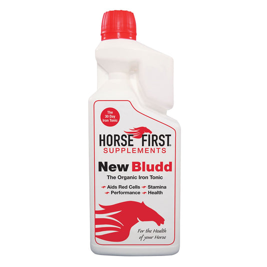 Horse First New Bludd - Ashurst Equestrian & Country