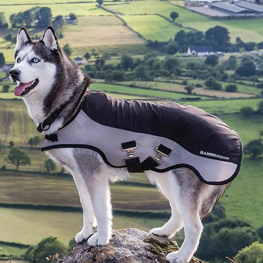Horseware Rambo Sports Series Dog Rug Coat - Black/Silver - Ashurst Equestrian & Country